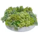 Zane Bowl With Mixed Green Textures