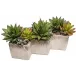 Triple Planter With Succulents