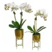 Set of 2 Orchids In Gold Pot On Stand