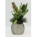 Banksia/Sans Flat Bk/Cr Vase
