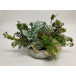 Wild Succulent Forest Mix Bowl 26" x 17"