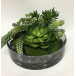 Succulents in Glass Bowl 13" x 8"