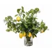 Lemon Branches in Glass Vase