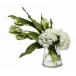 Parrot Tulip/Hydrangea/Ranunculus in Glass