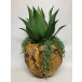 Agave Bowl