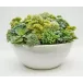 Sedum White 16" Bowl
