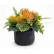 Protea/Banksia Discover Pot