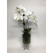 Double Orchid in Glass Urn 34" x 15"