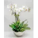 Orchid/Fern/Foliage Silver Bowl