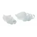 Ariel Blown Glass Decorative Shells, White