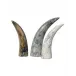 Varigated Horn Decorative Objects