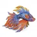 Namoko Fighting Fish