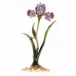 Vincent Iris Objet