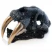 Wynter Luxe Saber toothed Tiger Skull (Special Order)