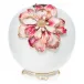 Dolly Magnolia Vase
