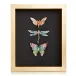 Butterfly Dragonfly Moth Wall Art (Special Order)