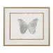 Shimmering Butterfly I