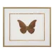 Shimmering Butterfly IV