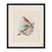 Antique Birds II