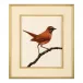Bird On A Branch III 25"W x 29"H x 1.5"D