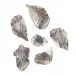 Nickel Wall Leaves, Set of 6