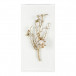 Gold Calcite I