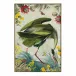 Vibrant Birds III