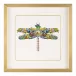 Amy Shaw's Fantasy World Collection: Dragonfly