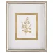 Golden Botanicals I