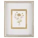 Golden Botanicals II