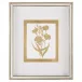 Golden Botanicals IV