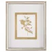 Golden Botanicals V