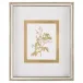 Golden Botanicals VI
