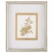 Golden Botanicals VIII