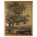 Grand Oaks Gold II