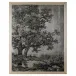 Grand Oaks Silver II
