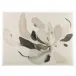 Kristine Hegre's Floral Imprint I