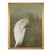 Debra Ferrari's The White Peacock