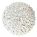 Button Flower Wall Art White I