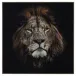 Rodney Bursiel's Mufasa