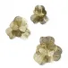 Golden Camellia Wall Art Set of 3 Brass