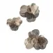 Golden Camellia Wall Art Set of 3 Bronze