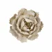 Porcelain Peony Wall Art Small