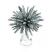 Kyanite Star on Crystal