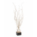 Sapling Sculpture I