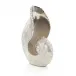 Nautilus Seashell Nickel Sculpture 12"H X 7.75"W X 5"D