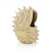 Spiny Seashell Sculpture I 8.5"H X 7"W X 4"D
