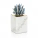 Cyanite Starburst on Marble Sculpture I