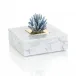 Cyanite Starburst and Marble Box
