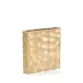Champagne Gravar Vase